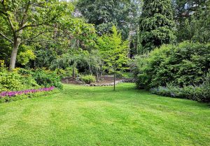 Optimiser l'expérience du jardin à Bours