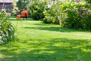 travaux jardin et paysage Bours